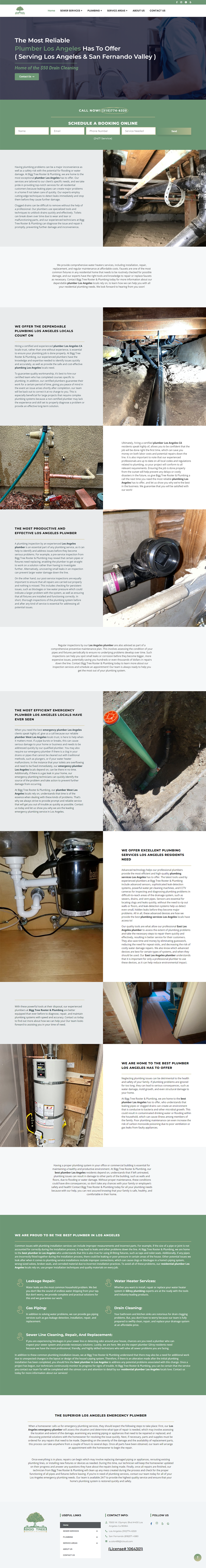 Biggtreerooterplumbing full page screenshot